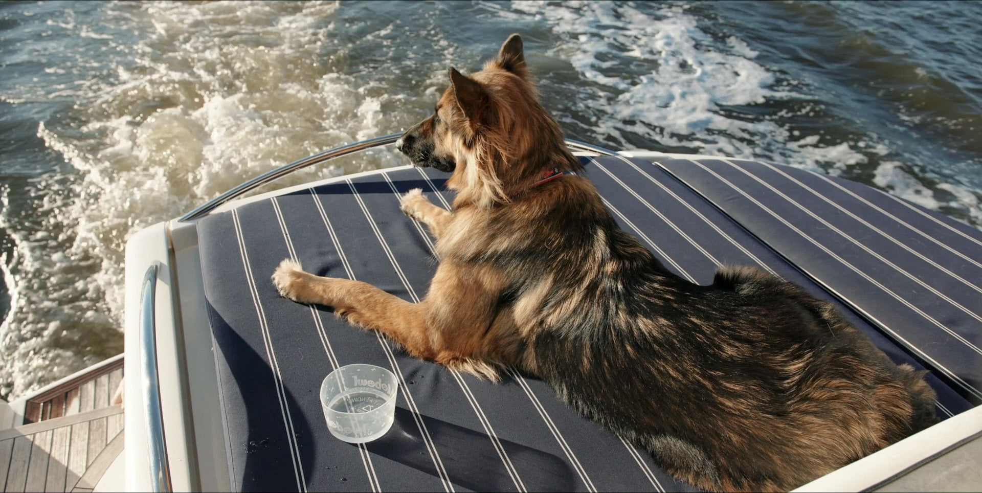 Lowcountry Pet Specialties