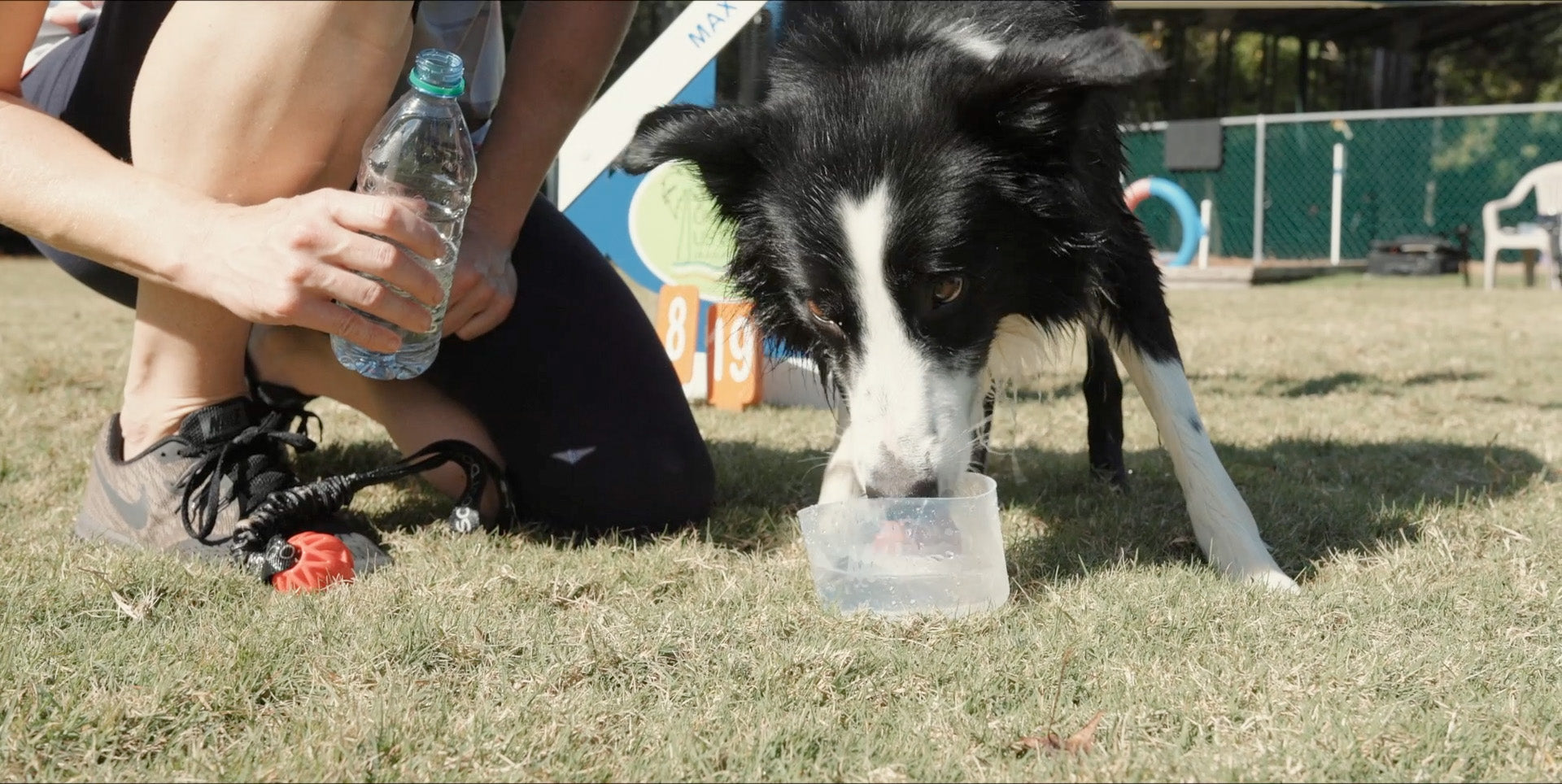 Lowcountry Pet Specialties
