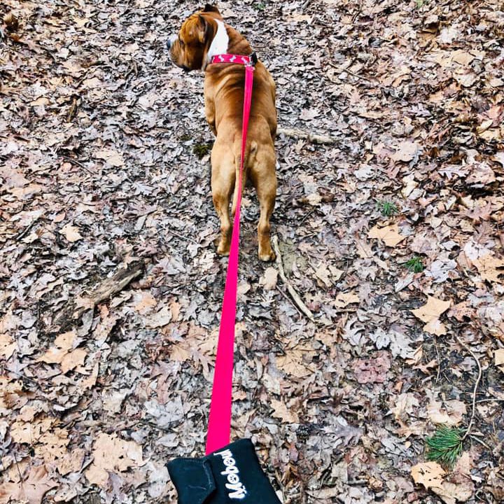 Lowcountry Pet Specialties
